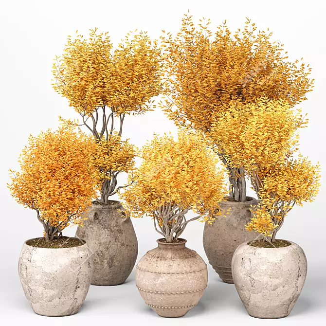  Indoor Plants 3D Model Collection 3D model image 1