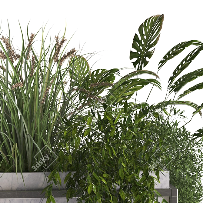 Cozy Green Boxed Home Plant 3D model image 2