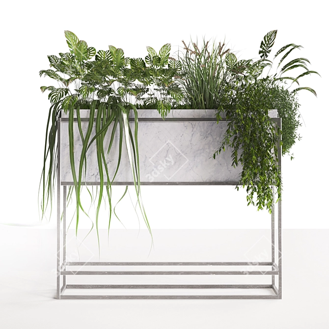 Cozy Green Boxed Home Plant 3D model image 5