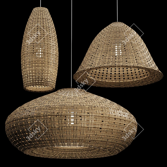 Rattan Pendant Light Trio 3D model image 1