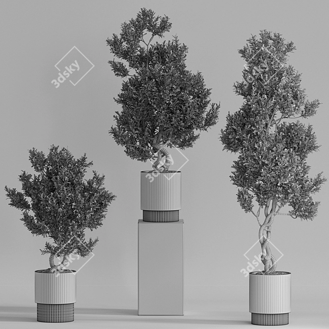 Plants Collection 735 3D model image 5