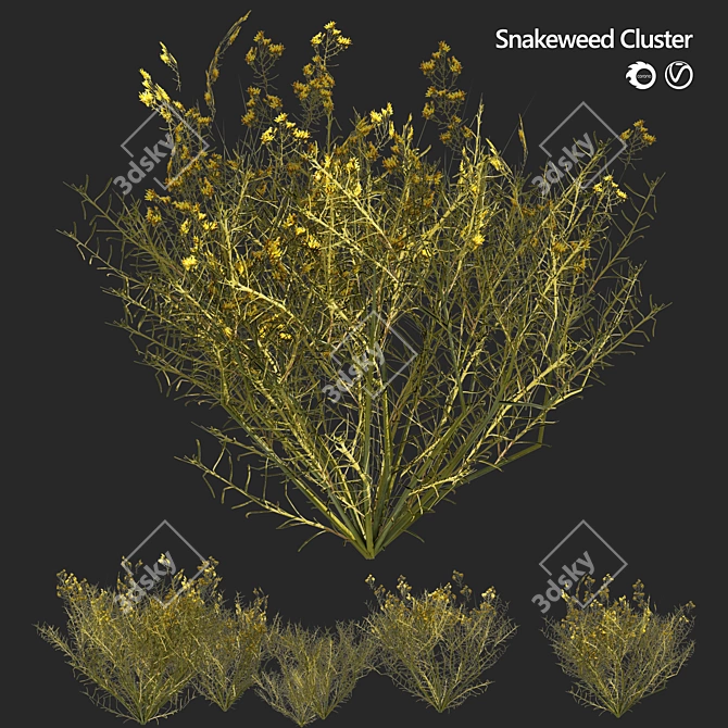 Snakeweed Cluster 3D Model 3D model image 1