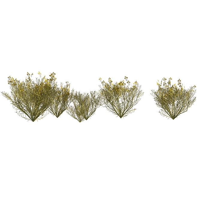 Snakeweed Cluster 3D Model 3D model image 3