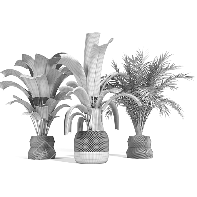 Tropical Plants 3D Model Pack 3D model image 6