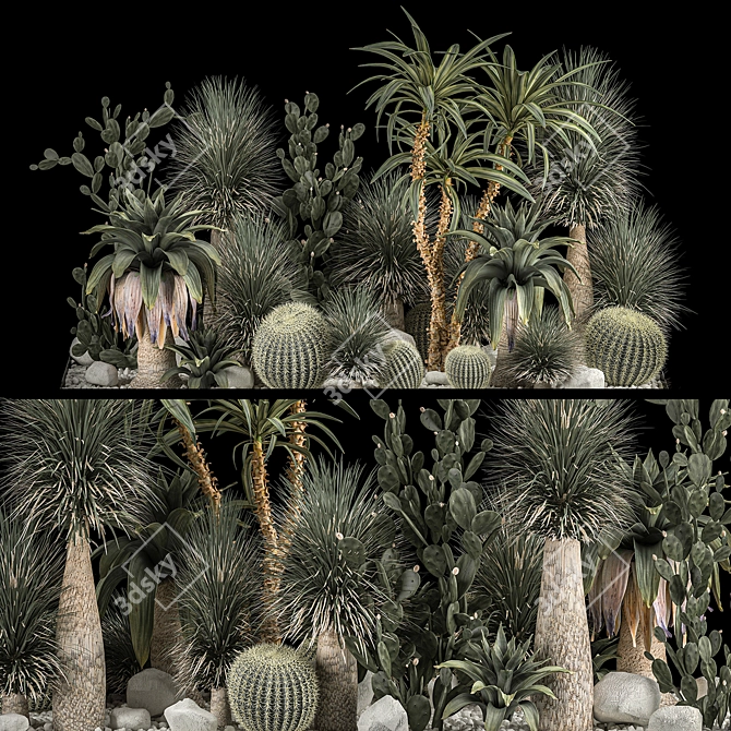 Desert Cactus Collection on Gravel 3D model image 1