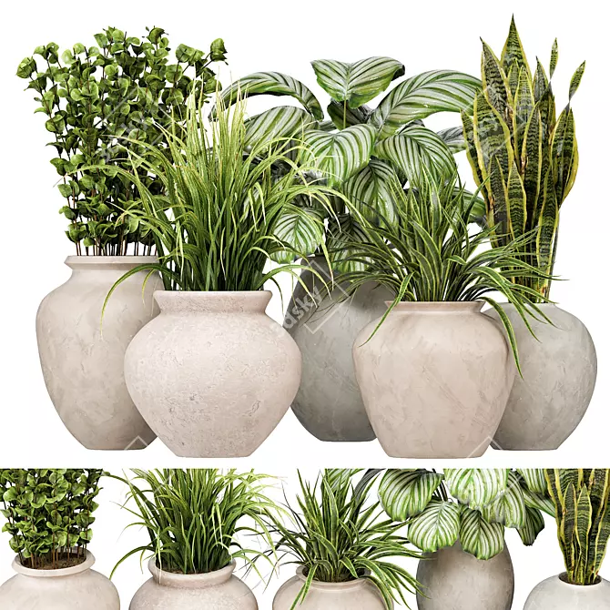 Indoor Plants 3D Model Collection 3D model image 1