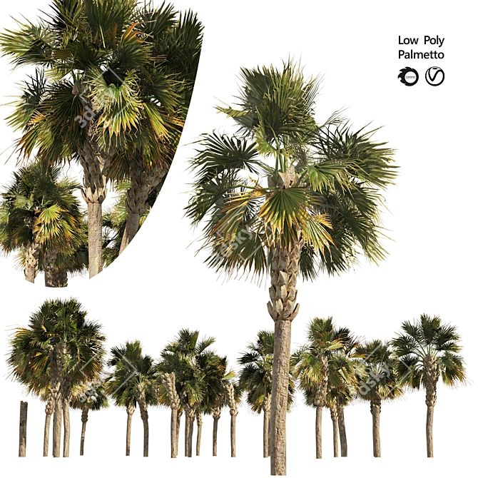 Low Poly Palmetto Trees Cluster 3D model image 1