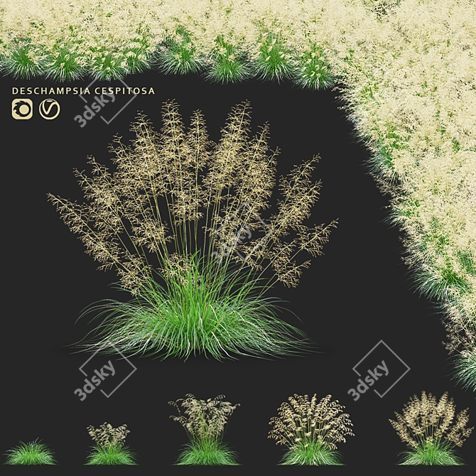 Dense Meadow Grass Collection 3D model image 1