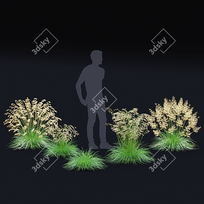 Dense Meadow Grass Collection 3D model image 3