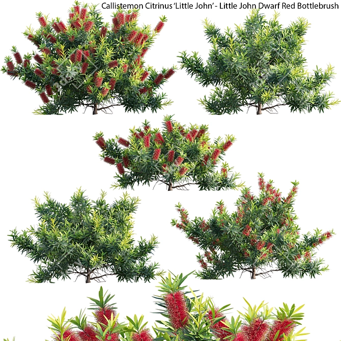  3D Models Bundle - Textured FBX OBJ 3D model image 1