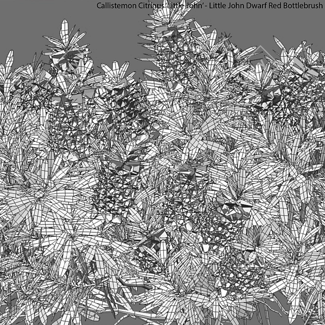  3D Models Bundle - Textured FBX OBJ 3D model image 4