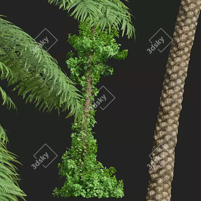 Ancient Tree Fern 3D Model 3D model image 4