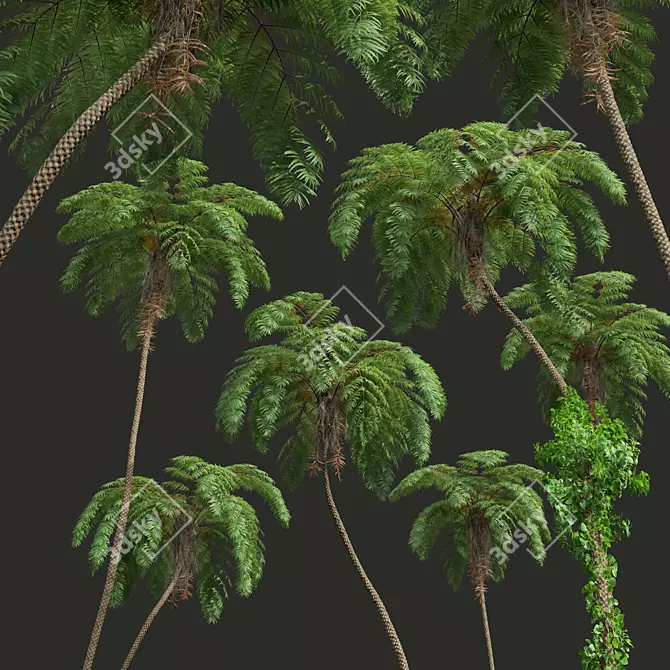 Ancient Tree Fern 3D Model 3D model image 5