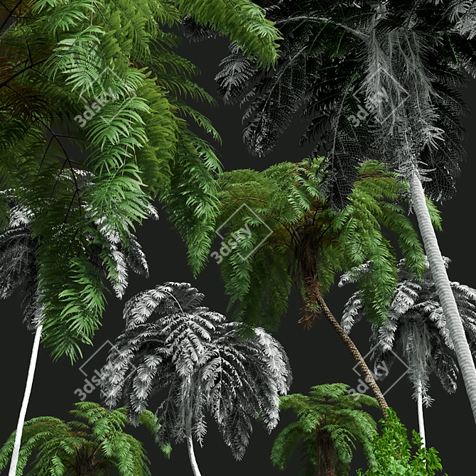 Ancient Tree Fern 3D Model 3D model image 6