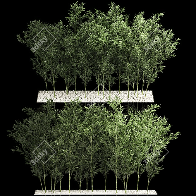 Tropical Bamboo Cluster Garden Decor 3D model image 1