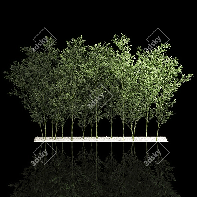 Tropical Bamboo Cluster Garden Decor 3D model image 2