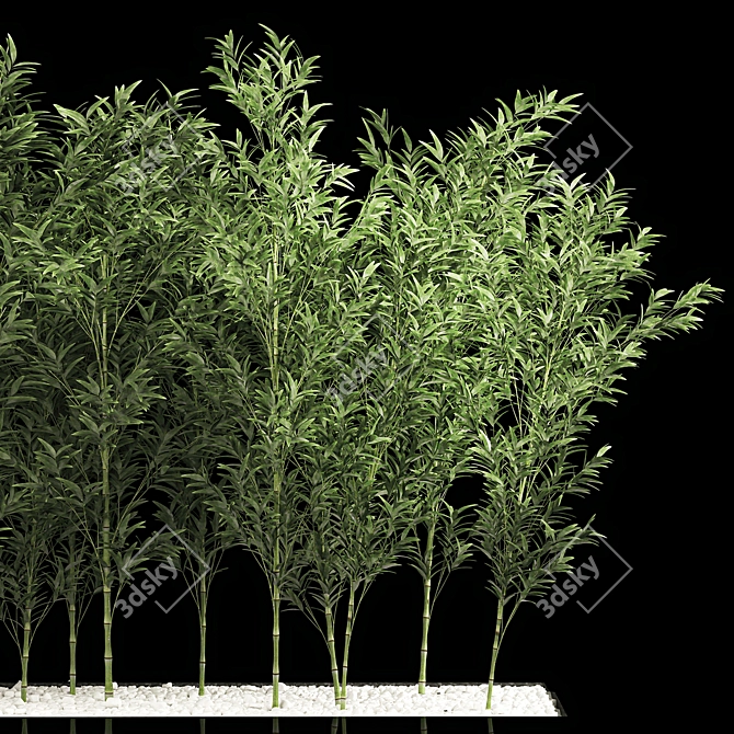 Tropical Bamboo Cluster Garden Decor 3D model image 3