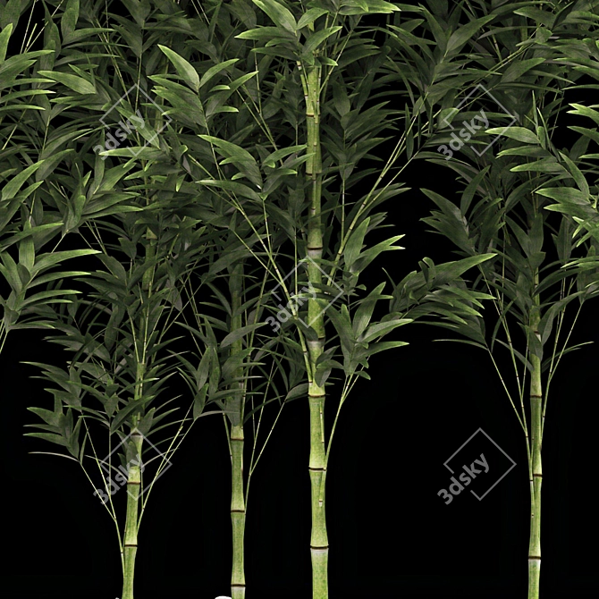 Tropical Bamboo Cluster Garden Decor 3D model image 6