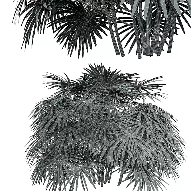 Lux Rhapis Excelsa Palm Set 3D model image 5