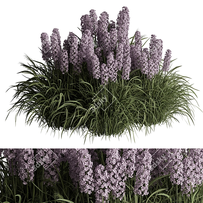 Purple Hyacinth Bush Set 84 3D model image 1