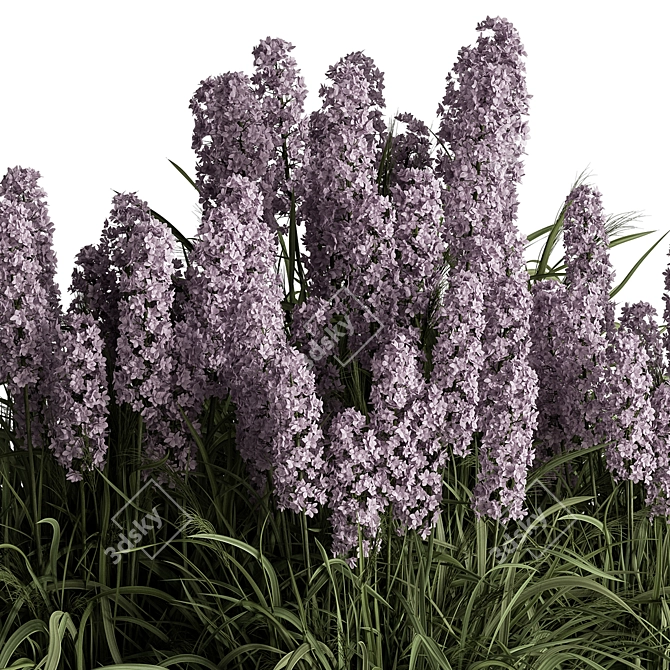 Purple Hyacinth Bush Set 84 3D model image 2