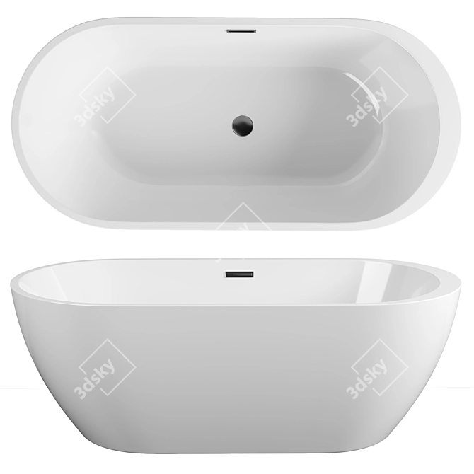 Elegant Black&White Swan Bathtub 3D model image 1