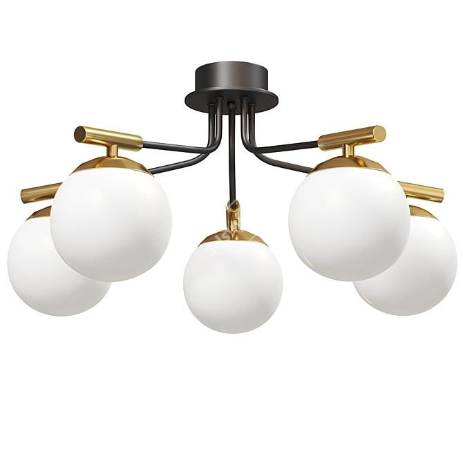 Paolina Ceiling Chandelier Glass Shades 3D model image 1