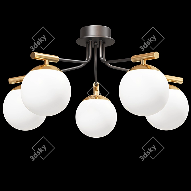 Paolina Ceiling Chandelier Glass Shades 3D model image 4