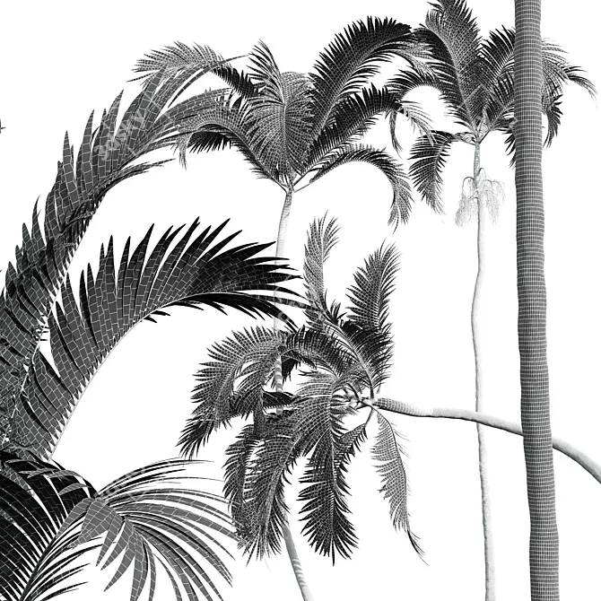 Exquisite Areca Catechu Palm Art 3D model image 5