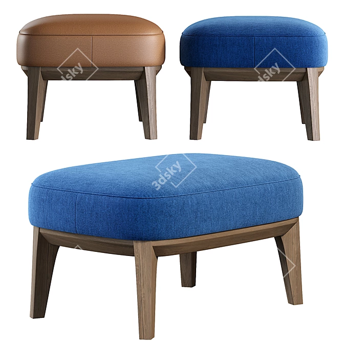 Modern Atlas Pouf 3D Model 3D model image 1