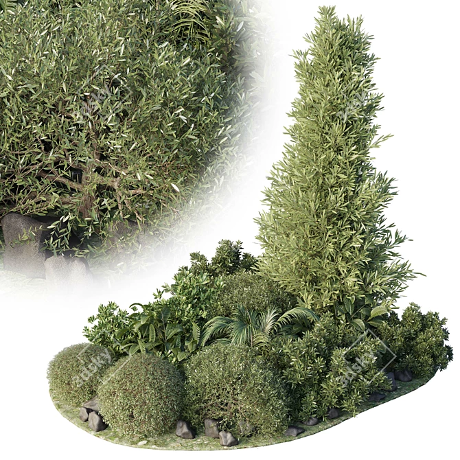 Tropical Topiary and Plants Set 3D model image 1