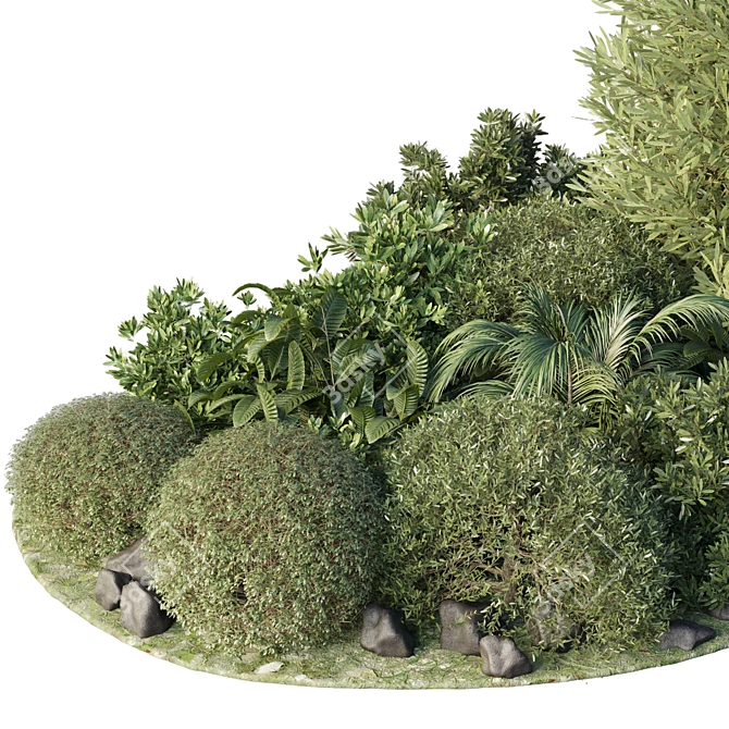 Tropical Topiary and Plants Set 3D model image 2