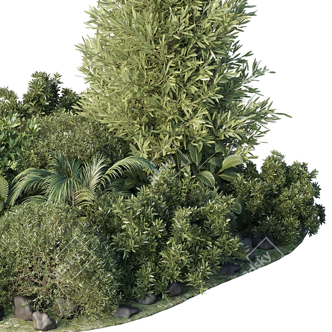 Tropical Topiary and Plants Set 3D model image 4