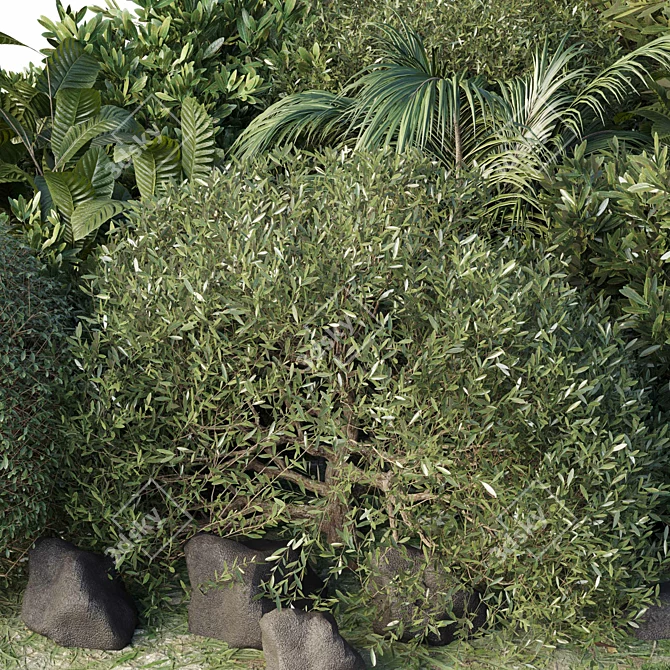 Tropical Topiary and Plants Set 3D model image 5