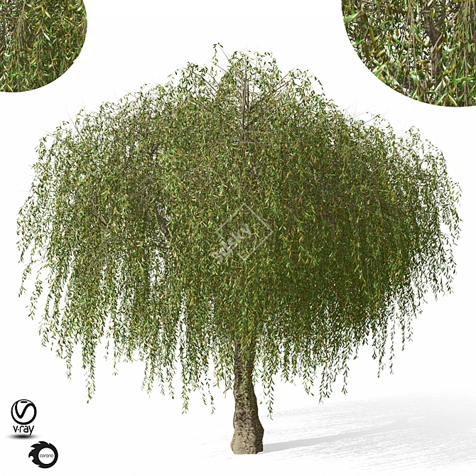 Giant Tree Model - 1150cm 3D model image 2