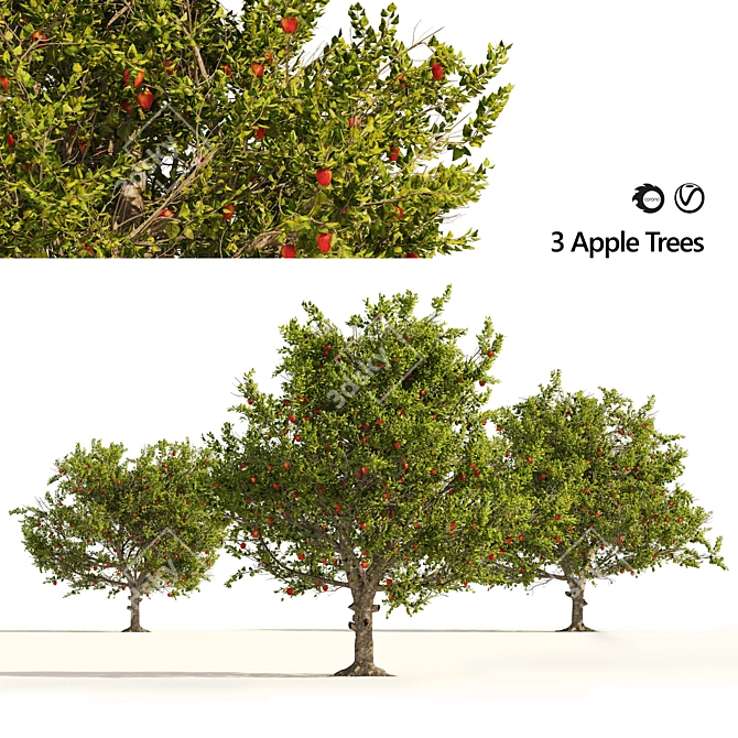 3D Apple Tree Models Set 3D model image 1