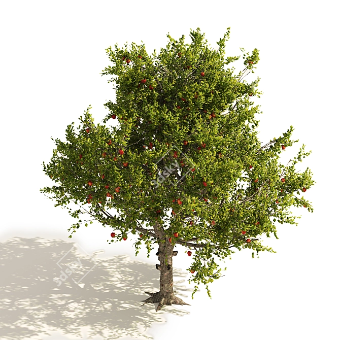 3D Apple Tree Models Set 3D model image 4