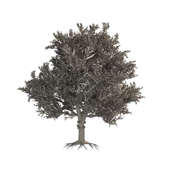 3D Apple Tree Models Set 3D model image 5