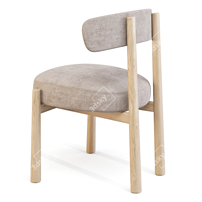 Coedition Dalya Dining Chair 3D model image 5