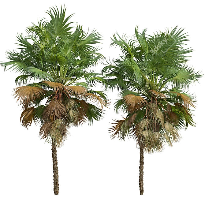 Exotic Garden Fruit 3D Models 3D model image 6