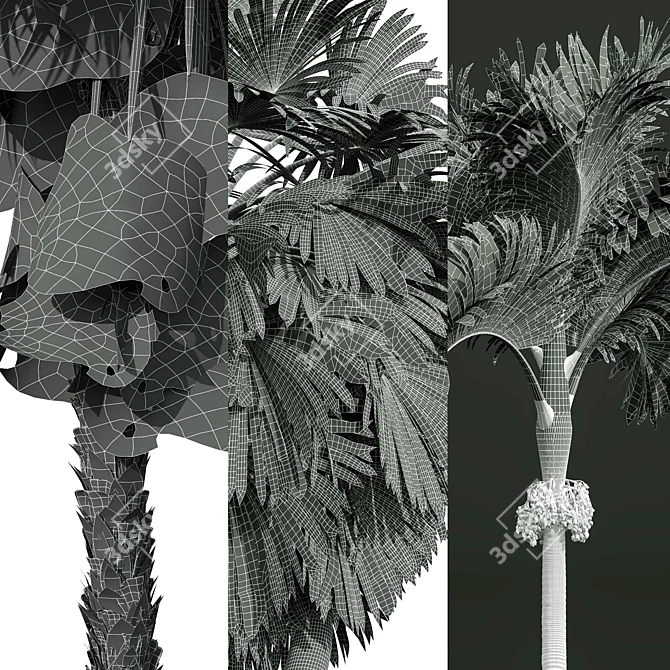 Exotic Garden Fruit 3D Models 3D model image 7