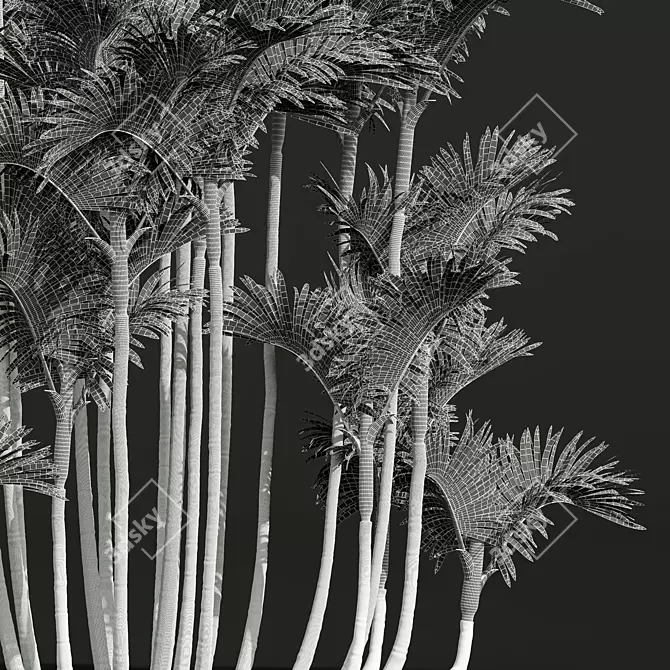 Lipstick Palm 3D Plant Model 3D model image 5