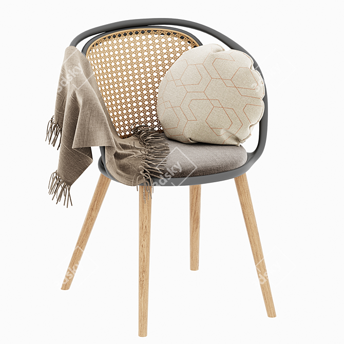 Rattan Armchair with Timber Details 3D model image 1