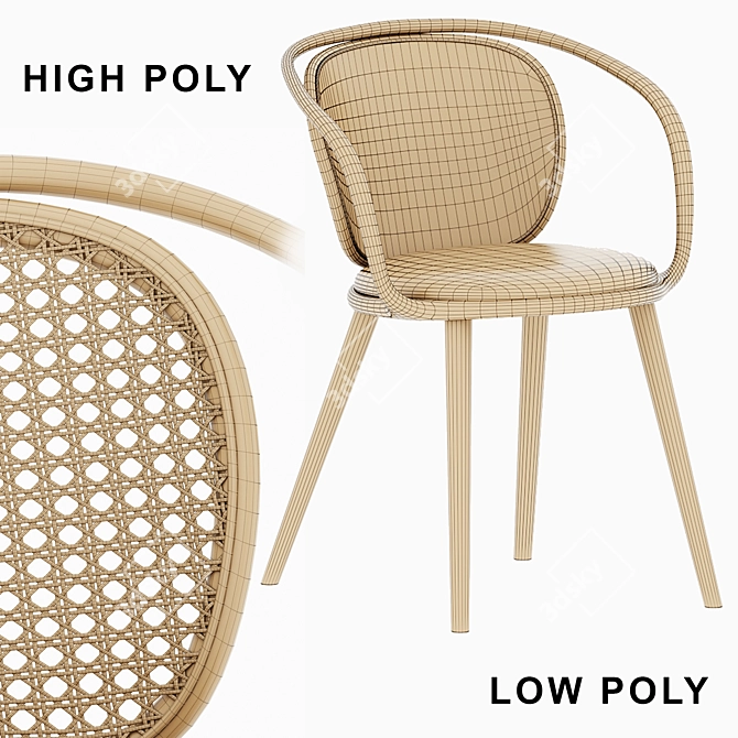 Rattan Armchair with Timber Details 3D model image 5