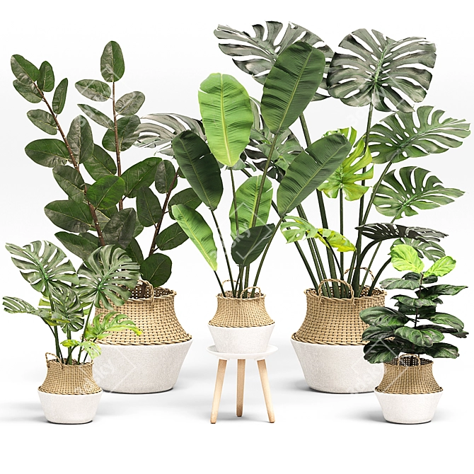 Greenery Essence 3D Indoor Plant 3D model image 1