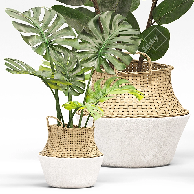 Greenery Essence 3D Indoor Plant 3D model image 2