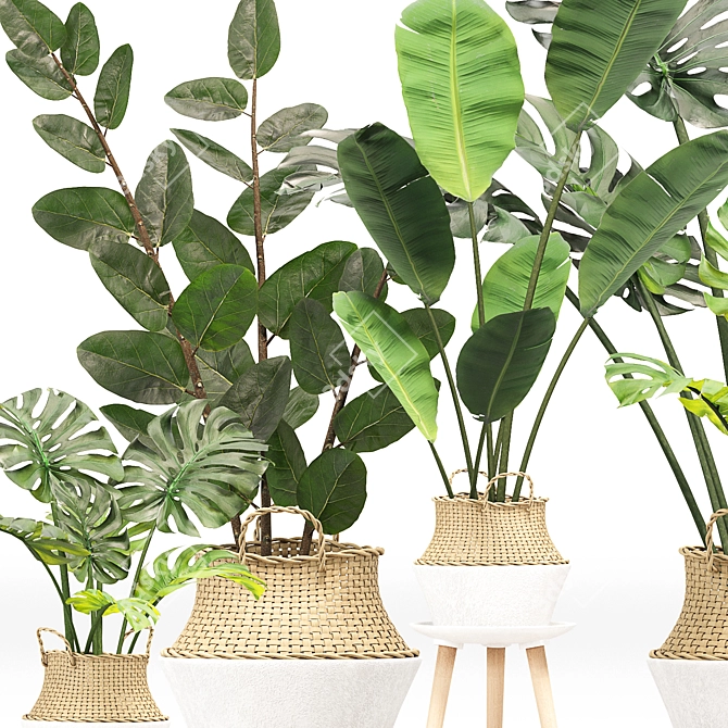 Greenery Essence 3D Indoor Plant 3D model image 4