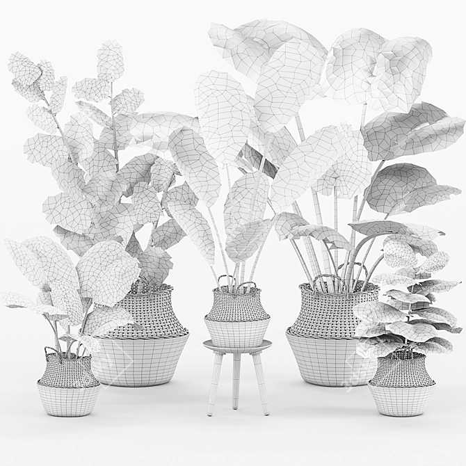 Greenery Essence 3D Indoor Plant 3D model image 5