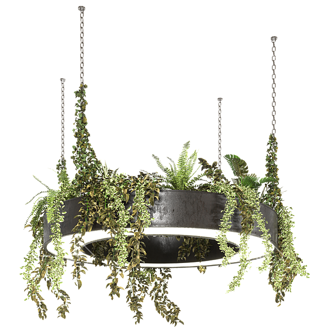 Assorted Hanging Plant Set 3D model image 1