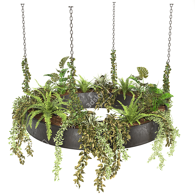 Assorted Hanging Plant Set 3D model image 2